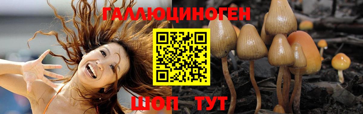 Павлово  Галлюциногенные грибы Psilocybe  купить закладку  Галлюциногенные грибы Psilocybe  Вход с VPN 